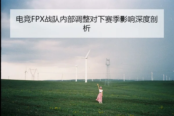 电竞FPX战队内部调整对下赛季影响深度剖析